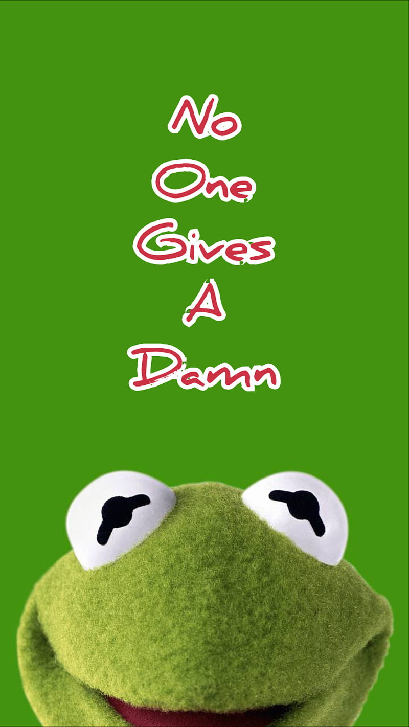 Kermit, sarcastic, frog, funny, HD phone wallpaper