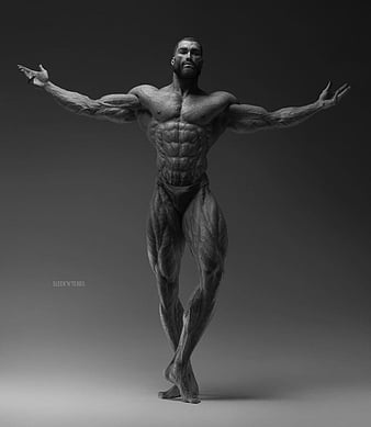 Download Muscular Giga Chad Wallpaper