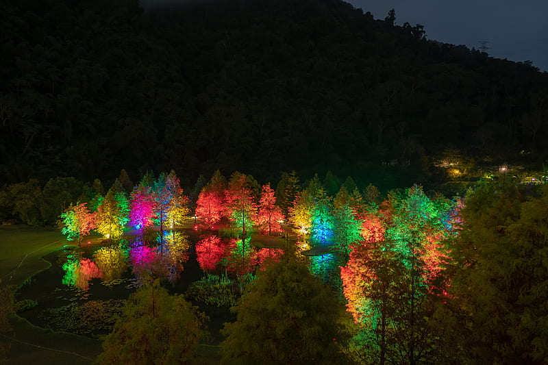 trees, pond, illumination, backlight, colorful, night, HD wallpaper