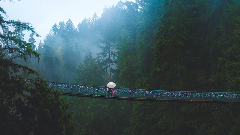 Capilano Suspension Bridge West Vancouver In Canada Canada, HD wallpaper