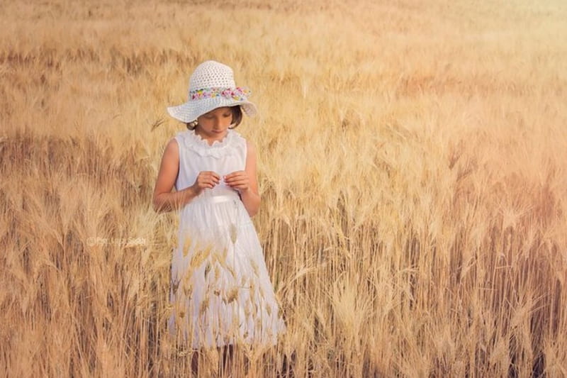 Small reflection, open field, nature, girl, ears of corn, HD wallpaper