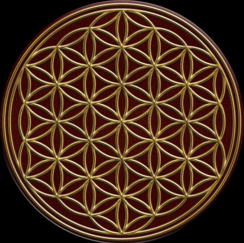 Flower of Life, seed, tree, life, nature, Flower, HD wallpaper