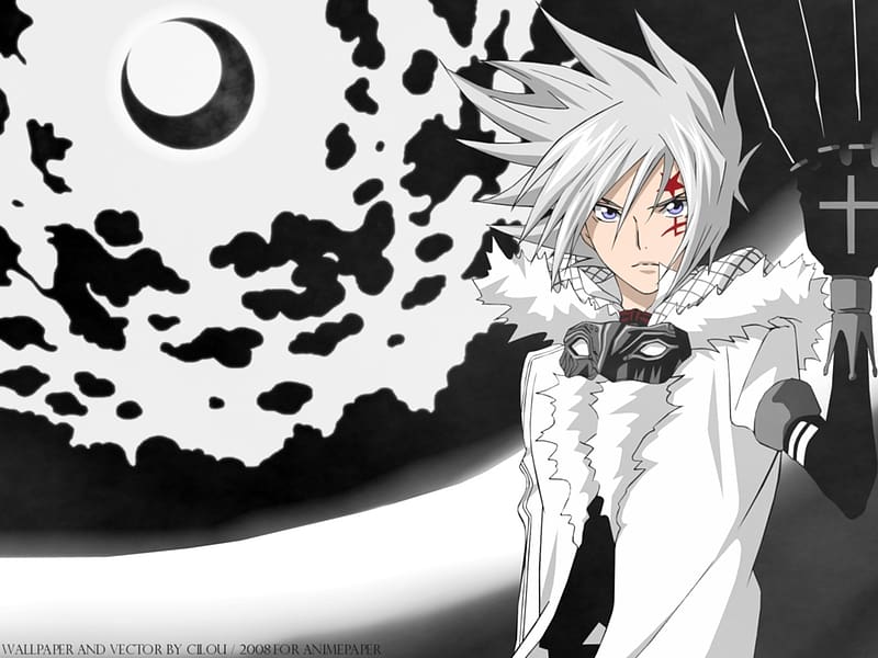 Anime D Gray Man Allen Walker Hd Wallpaper Peakpx