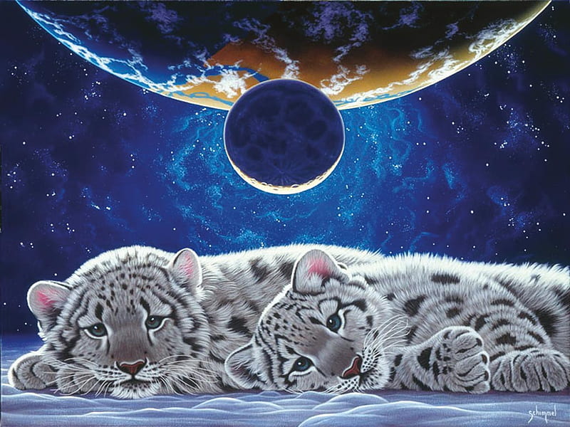 BABY WHITE TIGERS;W.SCHIMMEL, white, baby, yigers, artwork, HD wallpaper