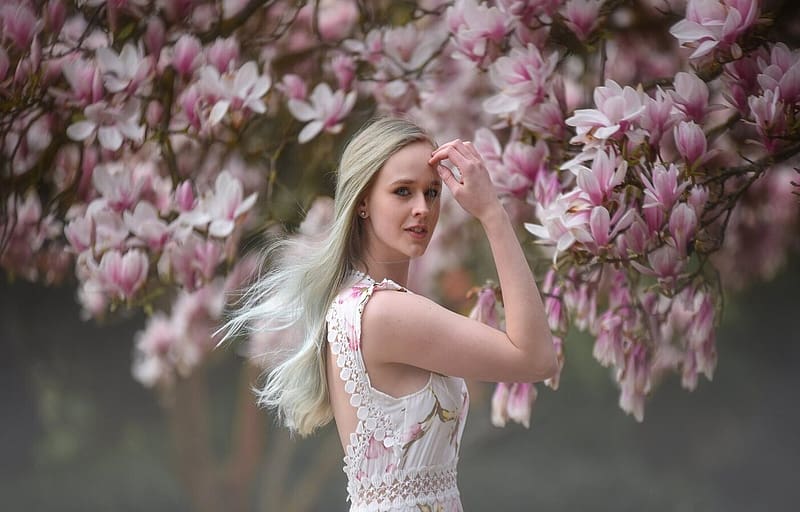 ❀Magnolia in her full bloom❀, pink, Magnolia, Tree, petals, Female Blonde, Bloom, Flower, Spring, HD wallpaper