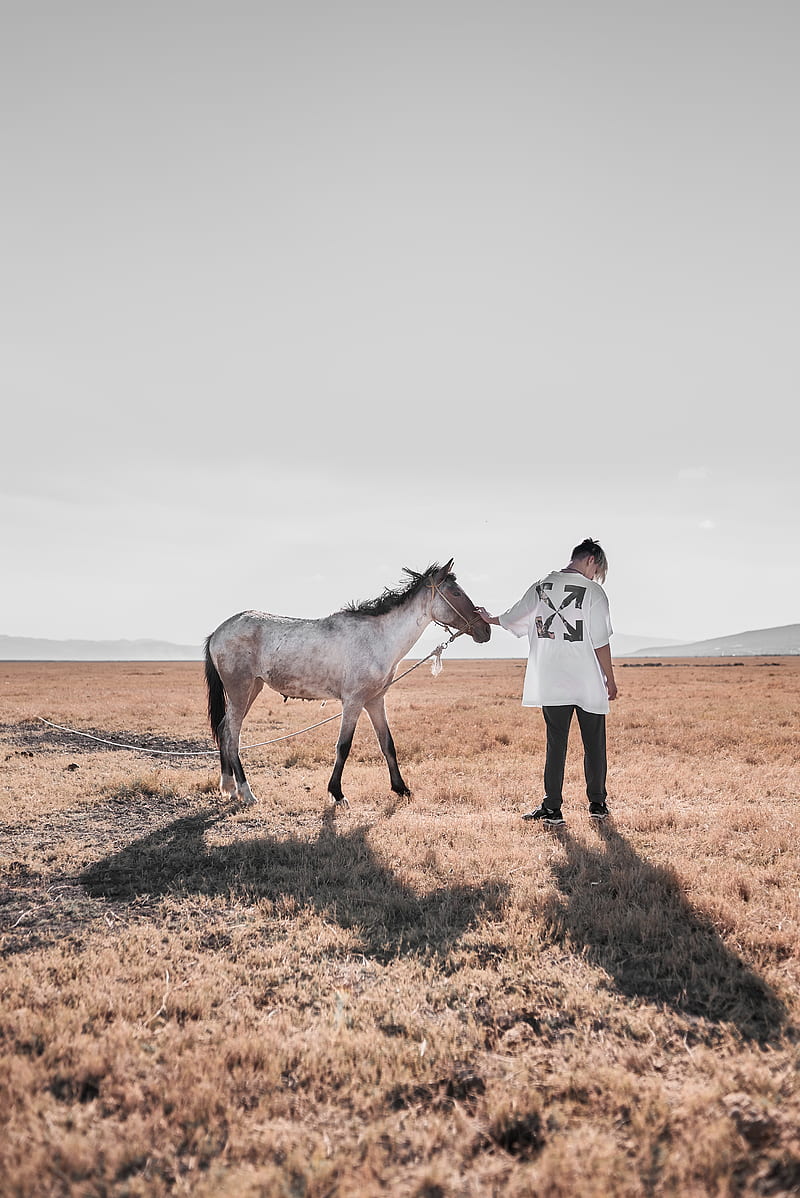 woman in white long sleeve shirt and brown pants standing beside white horse during daytime, HD phone wallpaper