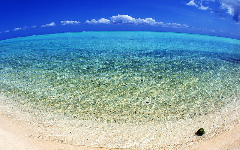 Tahitian fish-eye lens under the sun beach, HD wallpaper