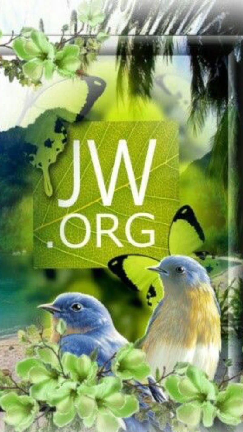JW BIRDS, birds, jw, paradise, HD phone wallpaper