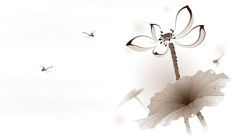 Asian Contemporary, Oriental, leaves, dragonflies, black and white, flowers, Asian, light, HD wallpaper