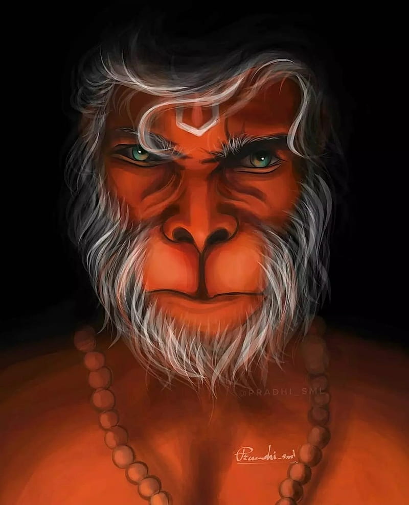 Hanuman, head, primate, HD phone wallpaper