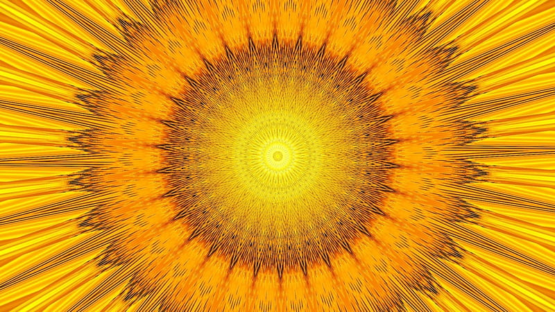 Girasol abstracto, luminos, naranja, textura, flor, amarillo, girasol,  abstracto, Fondo de pantalla HD | Peakpx