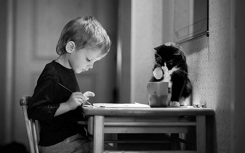 Curiousity, cute, boy, paint, black and white, kitten, HD wallpaper