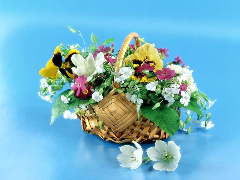 Basket of Beauty, colourful, cane, wicker, yellow, impatiens, cerise, pansy, leaves, green, wildflowers, pansies, flower, blooms, white, pink, blue, HD wallpaper