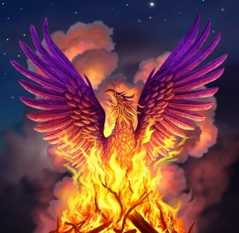 Phoenix, fire, wings, bird, mythological, bonito, wood, HD wallpaper
