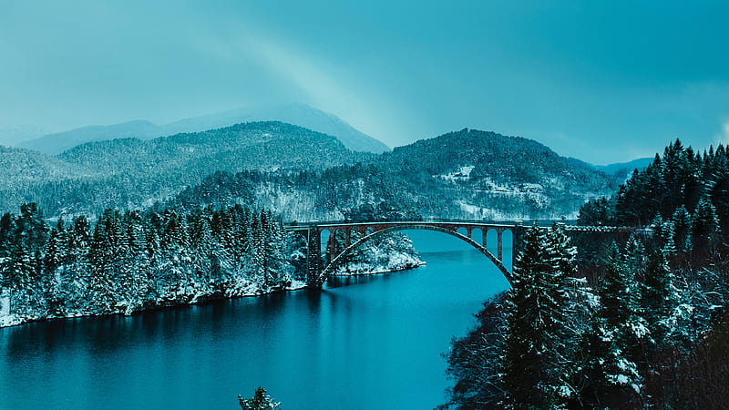 Beautiful Bridge Between Lake In Forest , forest, lake, bridge, nature, HD wallpaper