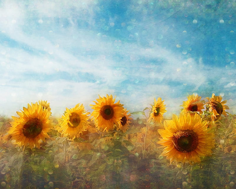 38 Sunflower iPhone Wallpapers to Download for Free  atinydreamer