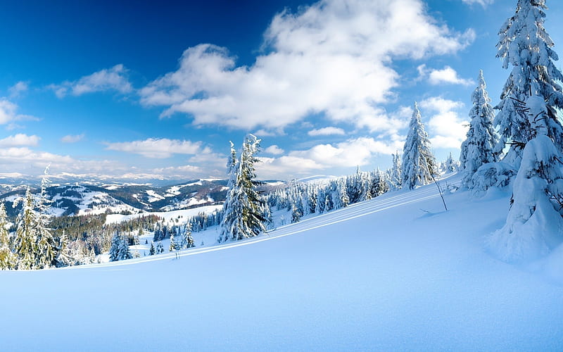 mountains, winter, snow, trees, winter landscape, HD wallpaper
