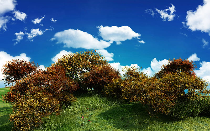 Wood Land Hill, hills, green, nature, trees, sky, blue, HD wallpaper