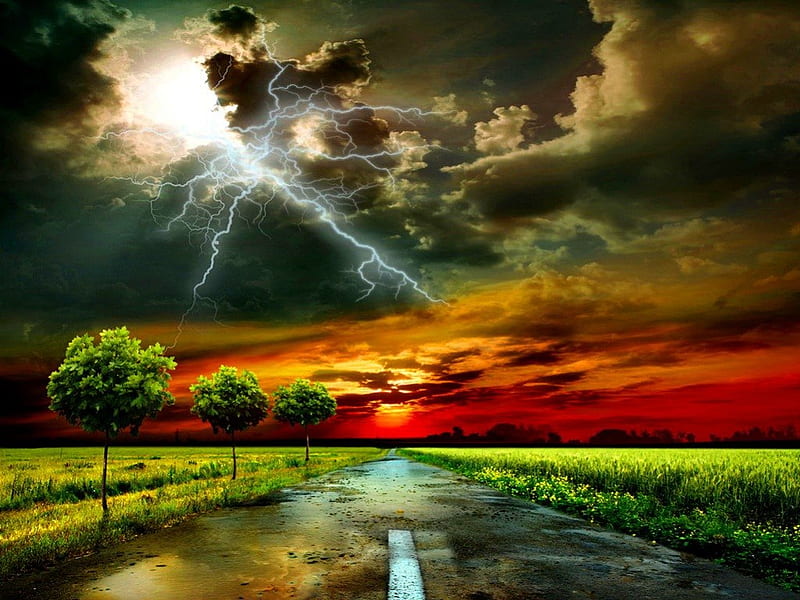 Lightning in the sky, colorful, amazing, lovely, grass, fiery, dusk, bonito, trees, sky, storm, lightning, rays, summer, rain, evening, road, HD wallpaper