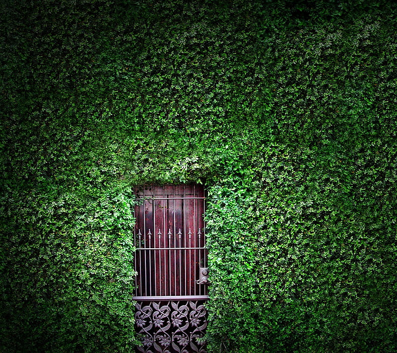 Secret Door, fantasy, garden, green, hedge, secret garden, HD wallpaper