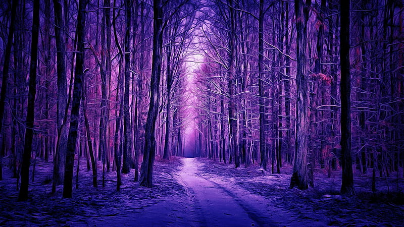 Winter Forest, trees, winter, forest, purple, snow, nature, lights, HD wallpaper
