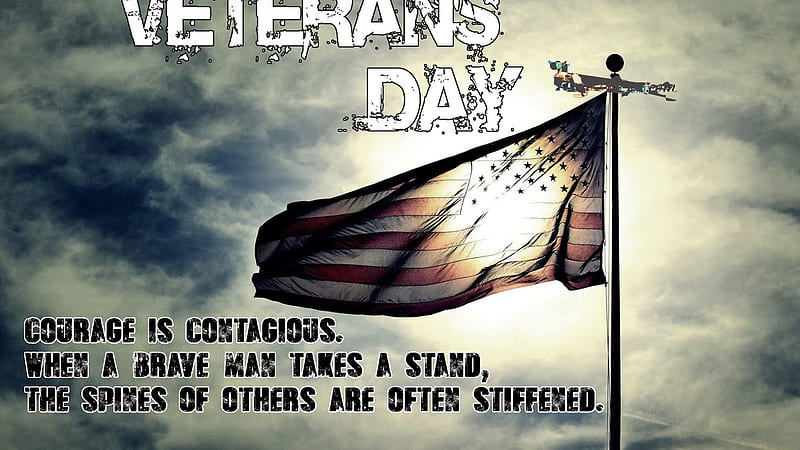 Courage Is Contagious Veterans Day, HD wallpaper