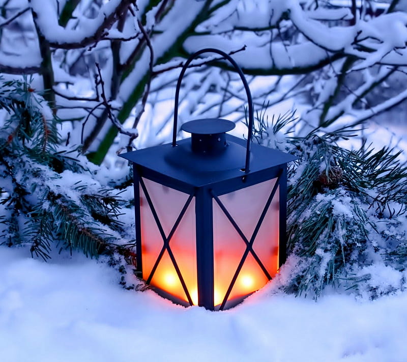 Lantern, candle, candles, forest, lamp, light, snow, winter, HD wallpaper