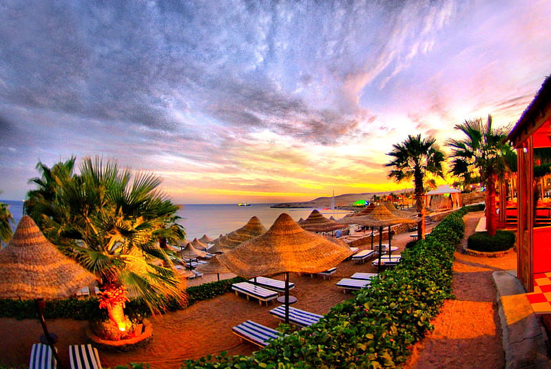 Sunset, Tropical, Palm, Sky, Tree, Resort, Man Made, HD wallpaper | Peakpx