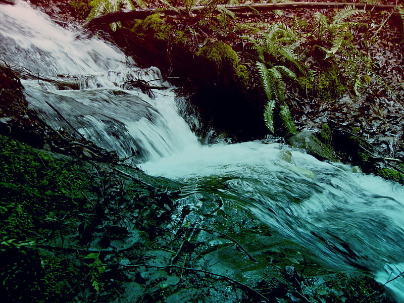 Mini Waterfall, water, flowing, pacific northwest, washington, waterfall, HD wallpaper