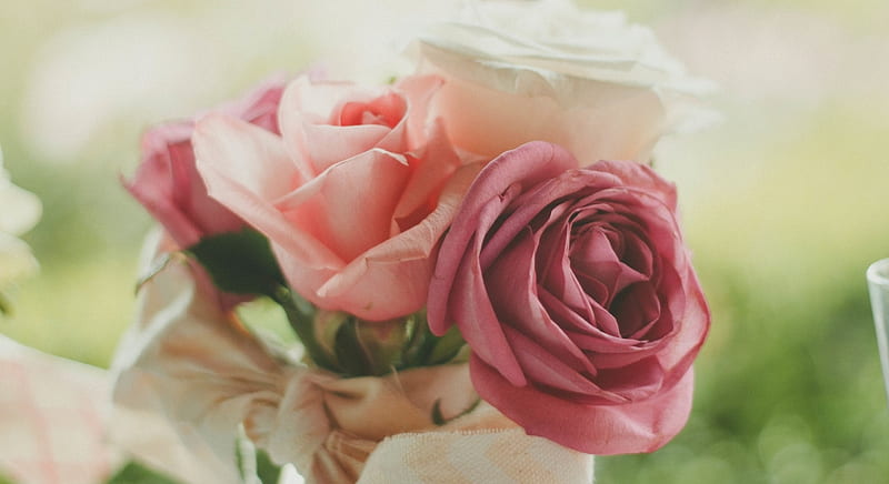 Rose Bouquet, flowers, beauty, roses, bouquet, HD wallpaper | Peakpx