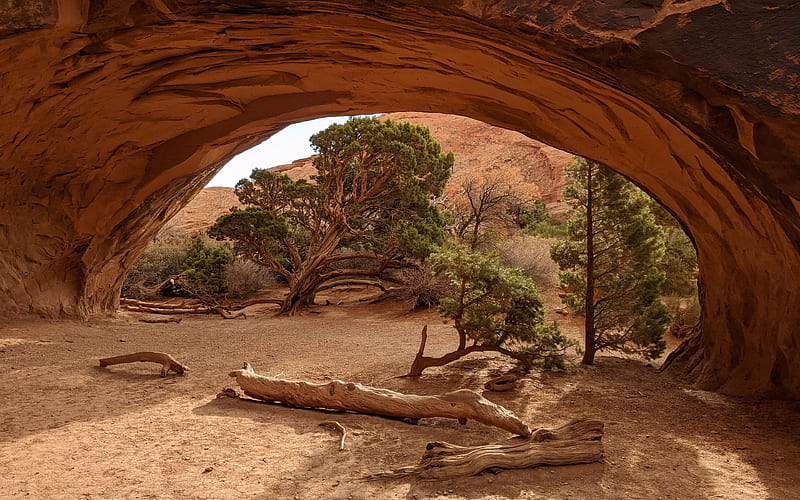 Navajo Arch, Utah, rocks, trees, usa, landscape, HD wallpaper