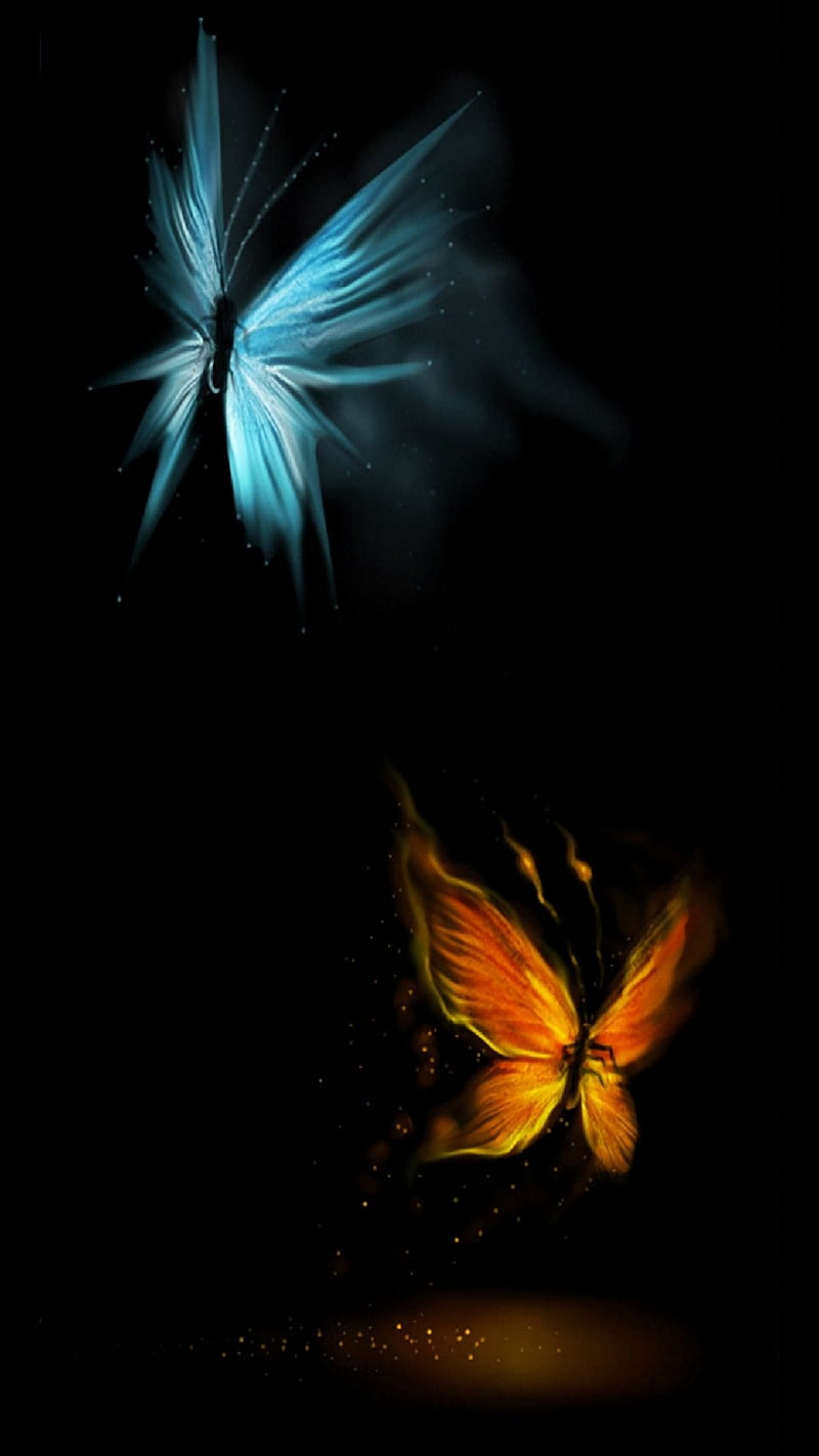 Neon butterfly, insect, blue, black, nature, HD phone wallpaper