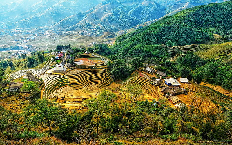 Vietnam farm, village, rice fields, mountains, Asia, HD wallpaper
