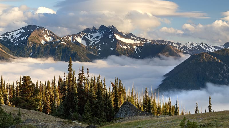Mountains, Mountain, Tree, , Cloud, Washington, Olympic National Park, HD wallpaper