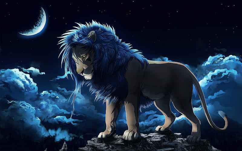 lion, night, leo, clouds, moon, predator, king of beasts, HD wallpaper