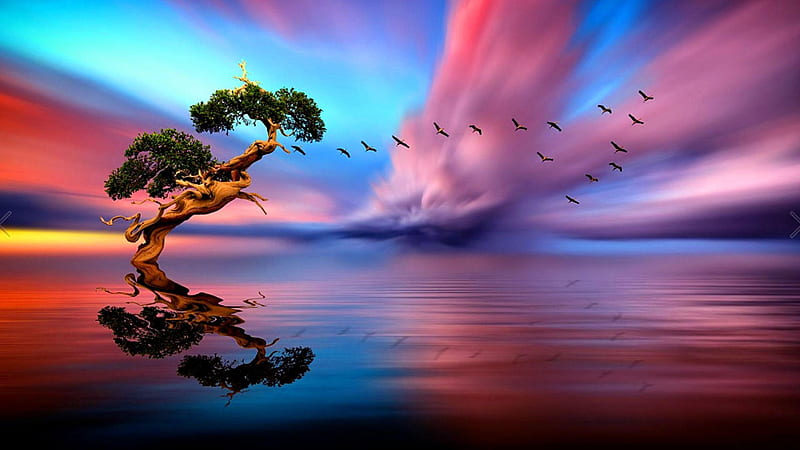 Chim bay trên hồ: Chim bay trên hồ trong cơn hoàng hôn tạo nên một khung cảnh tuyệt đẹp mang đến cho bạn cảm giác yên bình và thư thái. Hãy ngắm nhìn chúng bay lượn trong lúc mặt trời lặn. 