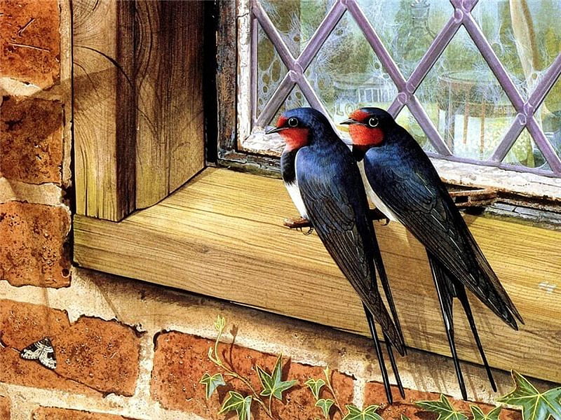 Swallows on the Window, painting, birds, swallows, window, HD wallpaper