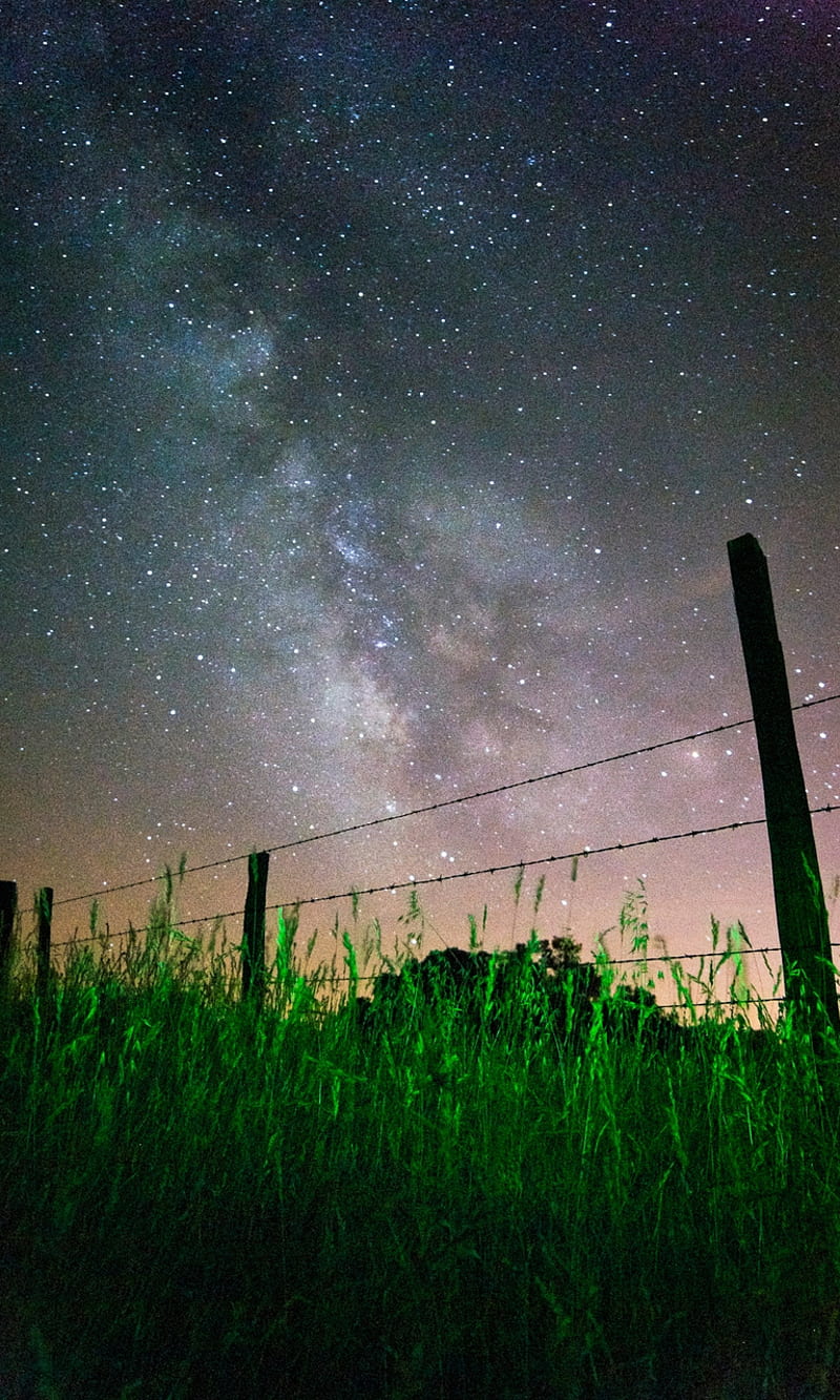 night sky, grass, nature, HD phone wallpaper