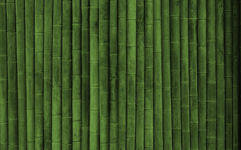 Bamboo, green, stripe, texture, HD wallpaper