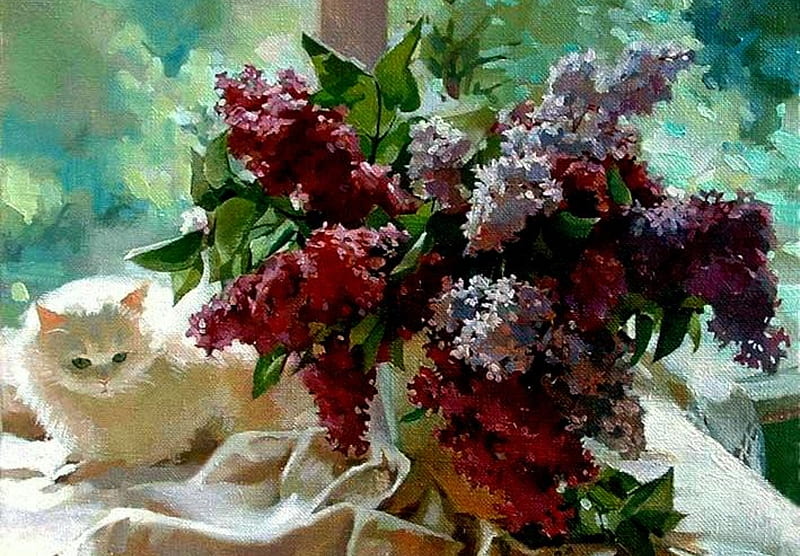 Lilac Beauty, still life, window, white cat, flowers, tablecloth, cat, lilacs, HD wallpaper