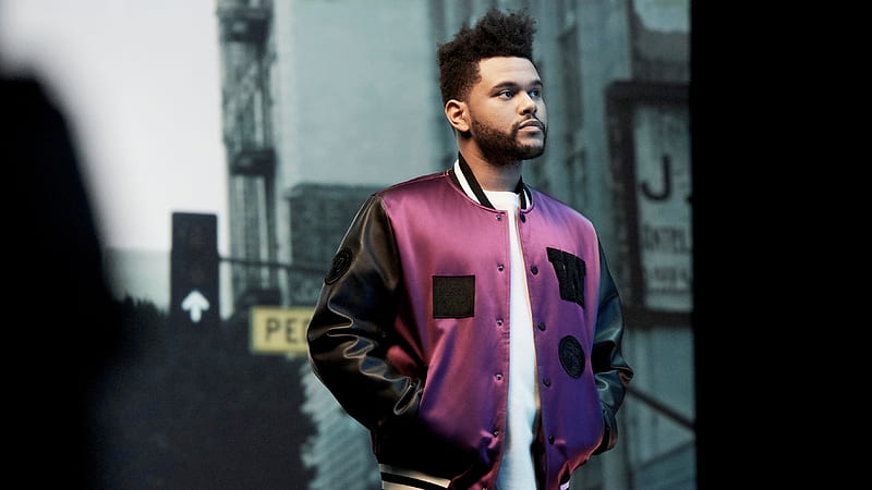 The Weeknd H And M 2019, the-weeknd, music, celebrities, boys, male-celebrities, HD wallpaper