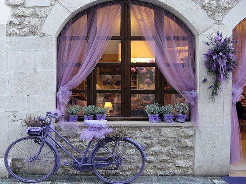 Delightfully Purple, shop, pretty, decoration, desenho, lavender, sheers, purple, store, bike, HD wallpaper