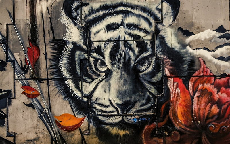 Graffiti, orange, texture, flower, black, tiger, wall, HD wallpaper
