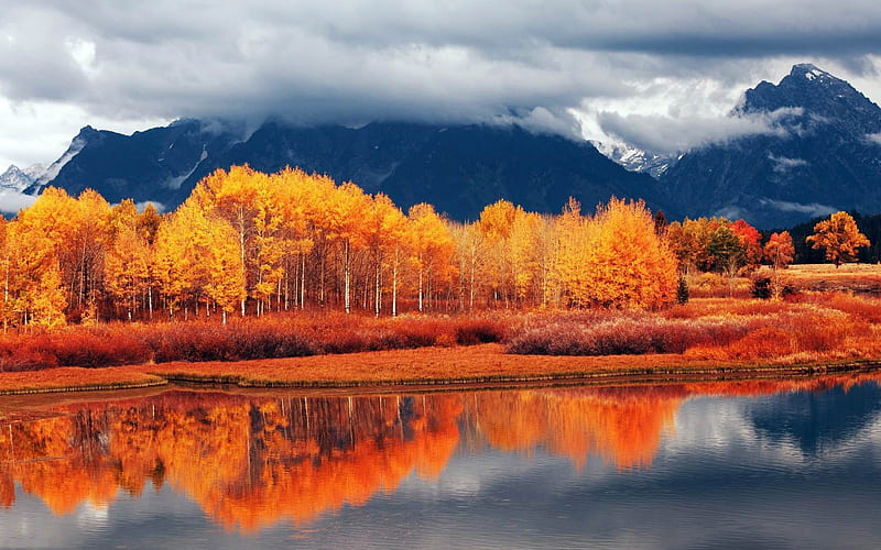 autumn-nature scenery, HD wallpaper