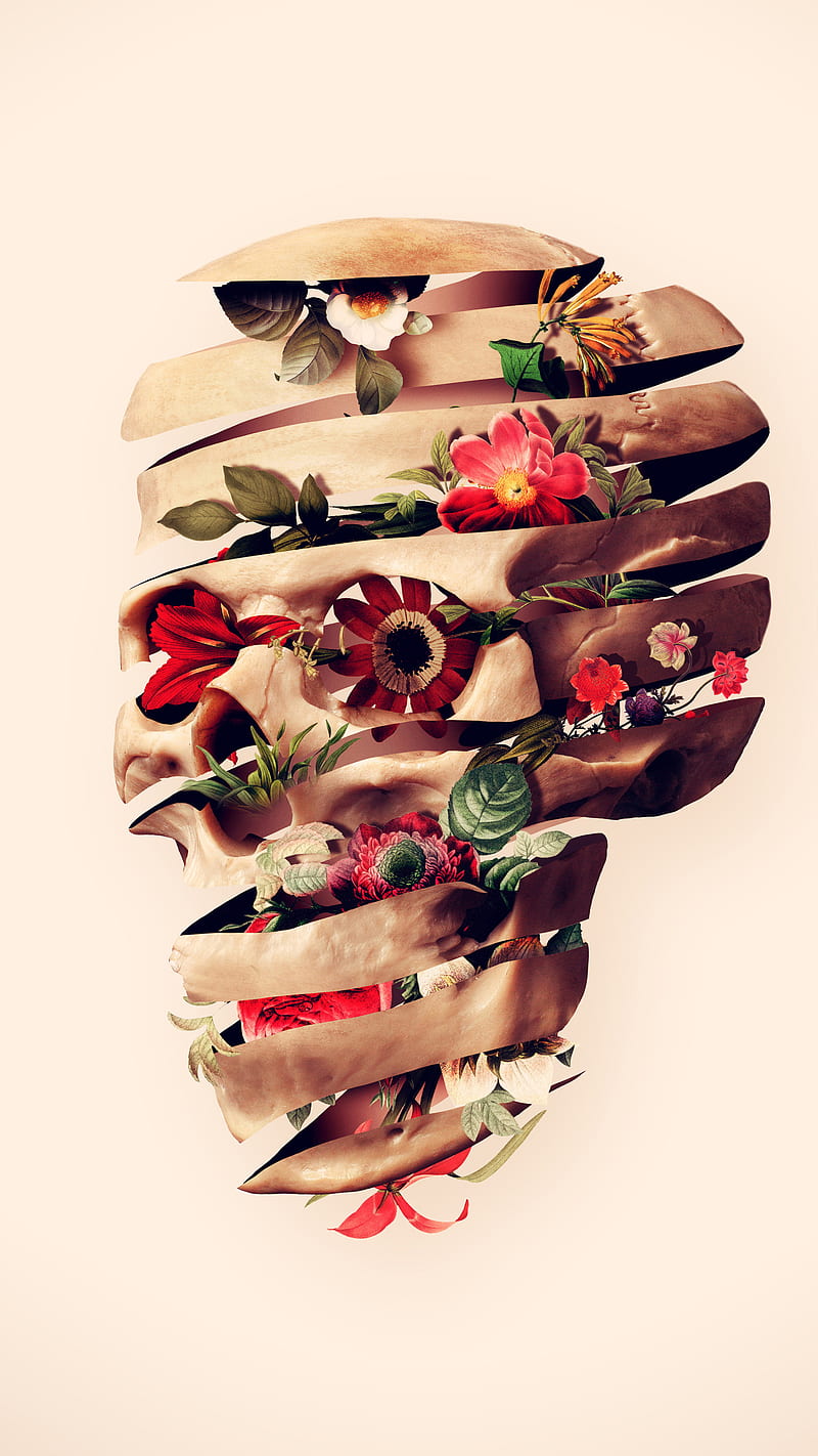 Sliced Skull, Ali, ali gulec, art, floral, flower, gothic, nature, skull art, skull background, sugar skull, HD phone wallpaper