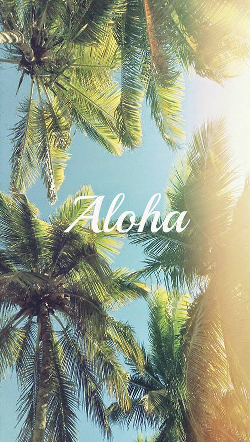 Hawaii Vacation, trees, tropical, HD phone wallpaper | Peakpx