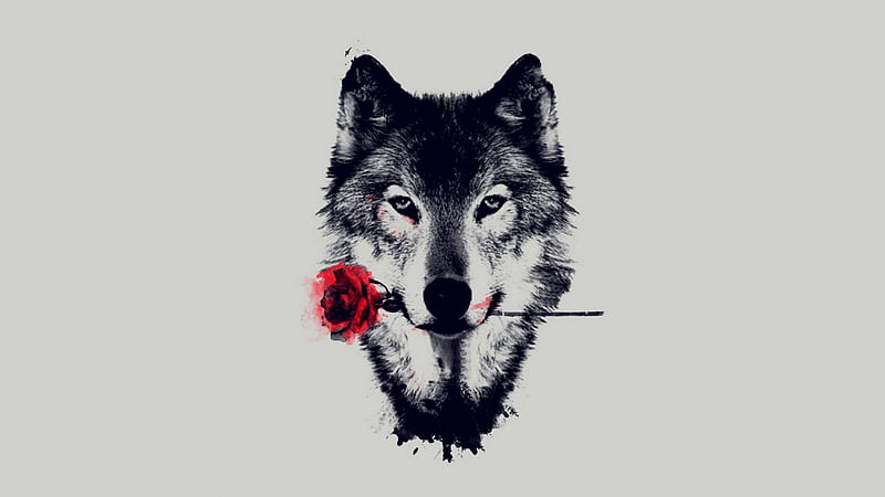 wolf art, arctic, black, abstract, animal, canis lupus, quotes, gris, flower, wolf, white, howling wolf, HD wallpaper