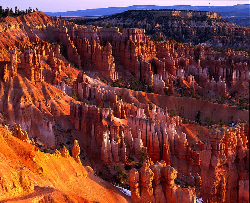Bryce Canyon, Utah., utah, bryce canyon, rocks, united states, orange, national park, HD wallpaper