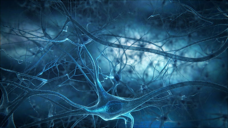Neurons, synapse, biology, anatomy, bonito, abstract, blue, brains, HD wallpaper