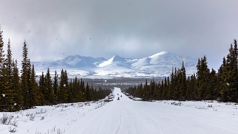 road, mountains, snow, trees, winter, landscape, HD wallpaper
